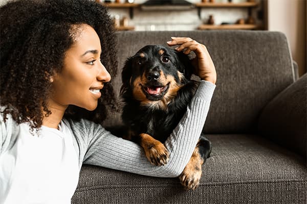 How To Find A Pet Insurance Plan? | Article Thumbnail