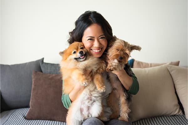How To Find A Pet Insurance Plan? | Blog Post